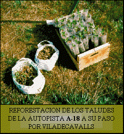 reforestaci�n de zonas afectadas por la erosi�n o que puedan servir de pantalla acustica como visual